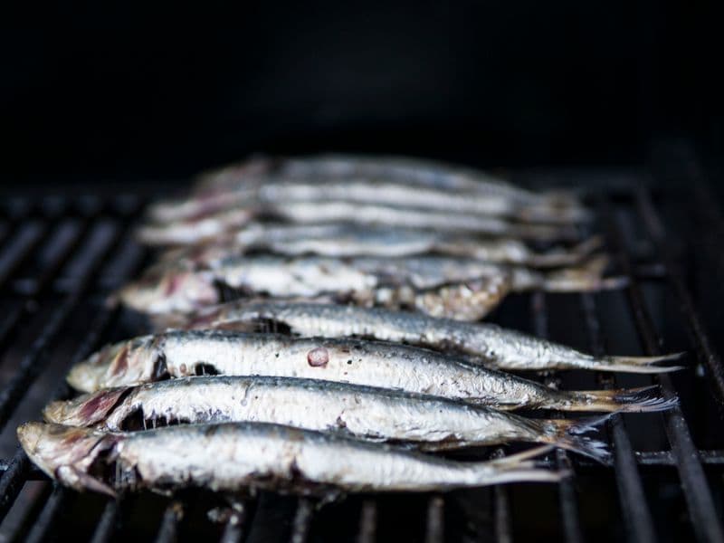 Sardines, canned