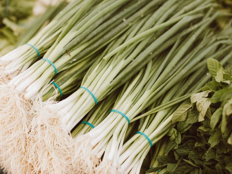 Scallions (green onions), raw