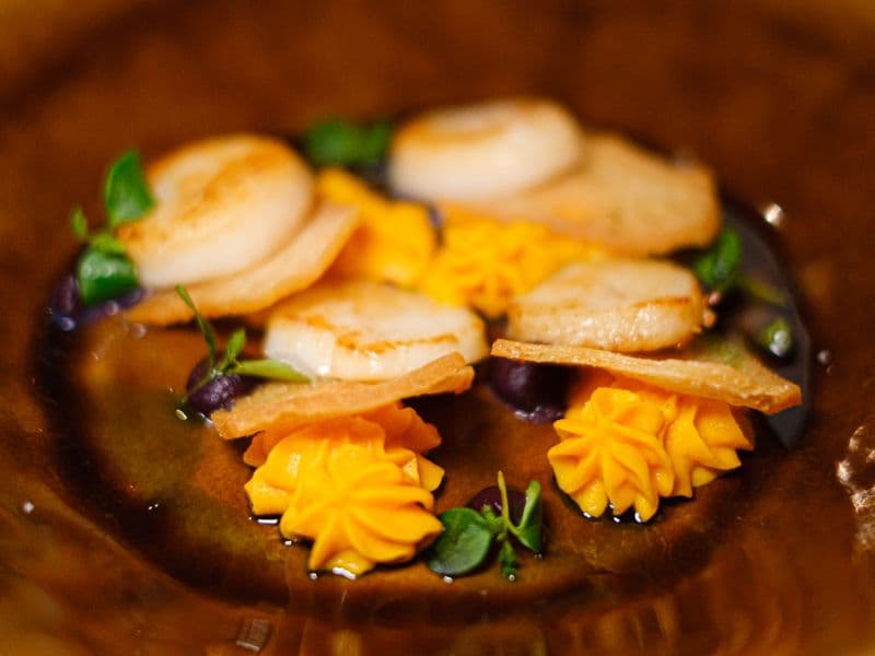 Scallop squash, cooked