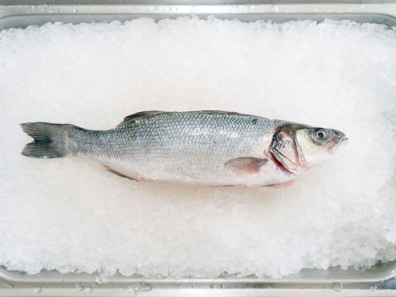 Sea bass, cooked