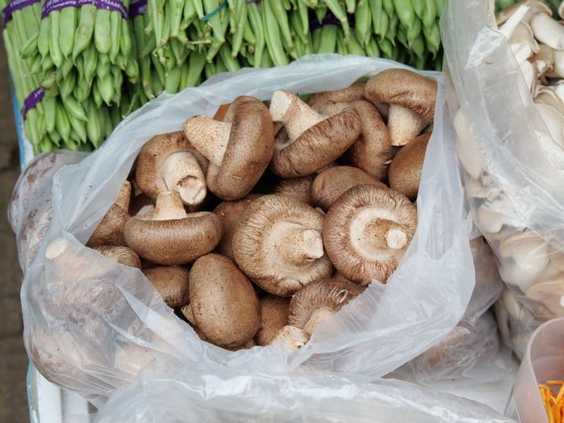 Shiitake mushrooms, raw