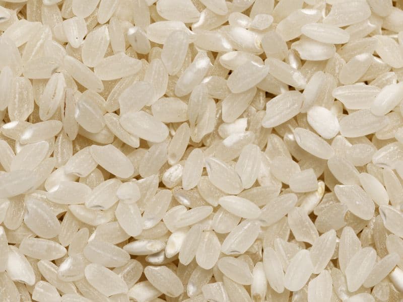 Short-grain white rice, cooked