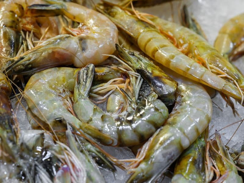 Shrimp, cooked