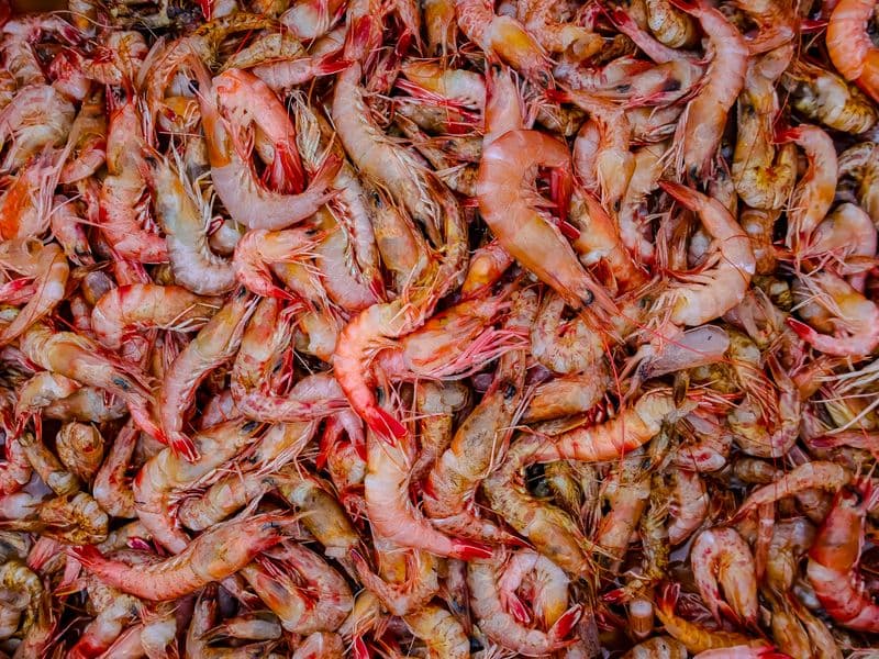 Shrimp, raw