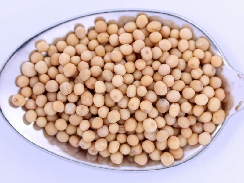 Small white beans, cooked