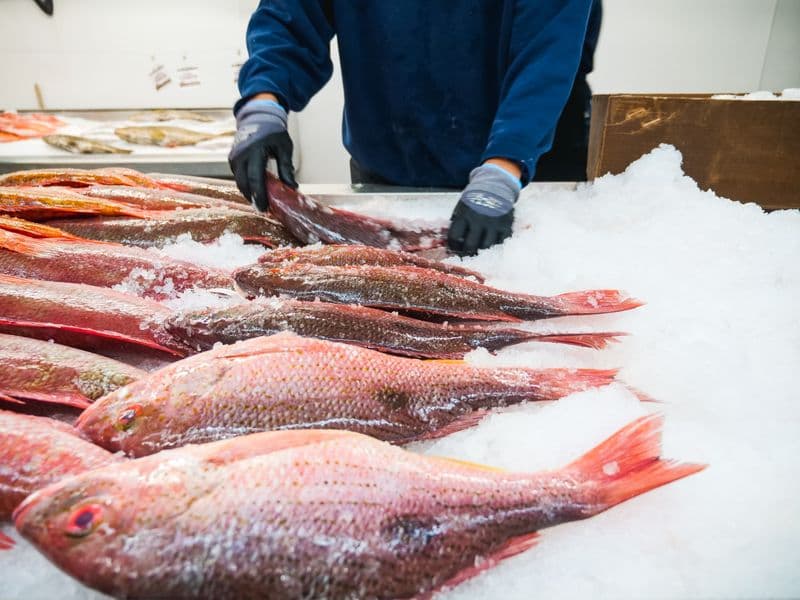 Snapper, cooked