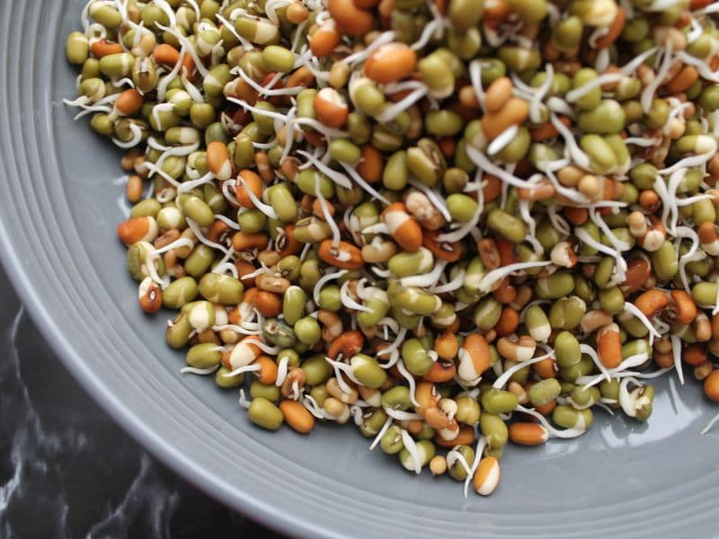 Sprouted lentils, raw