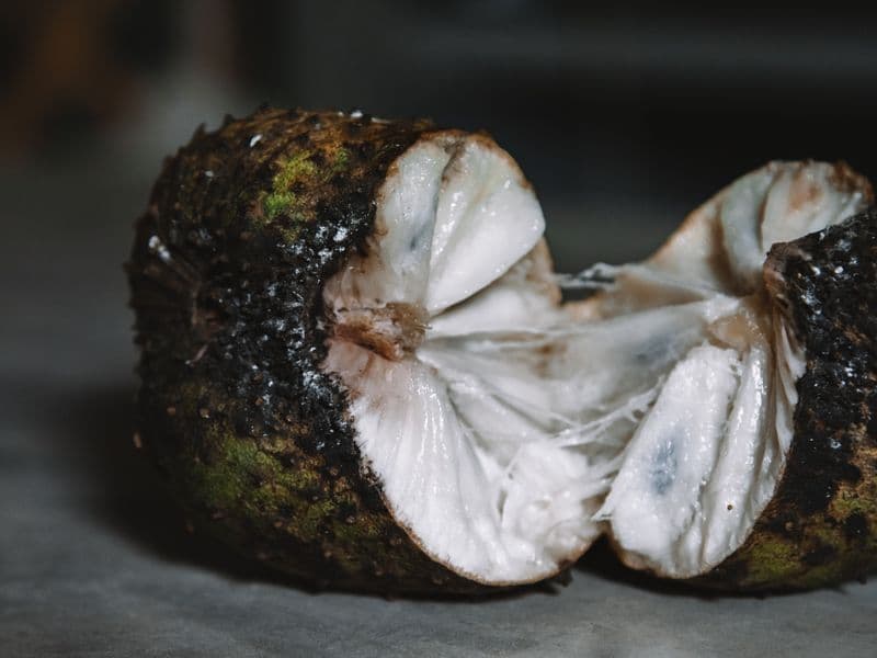 Sugar apple (sweetsop), raw
