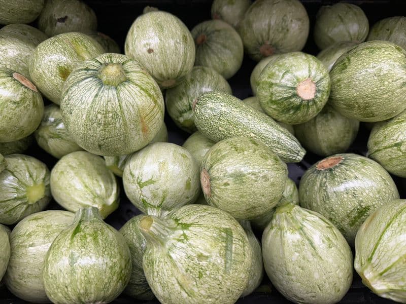 Summer squash, raw
