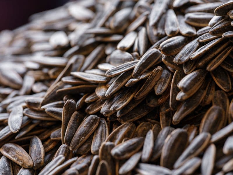 Sunflower seeds, dry roasted
