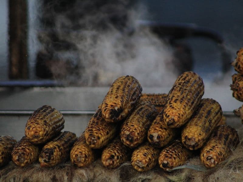 Sweet corn, cooked