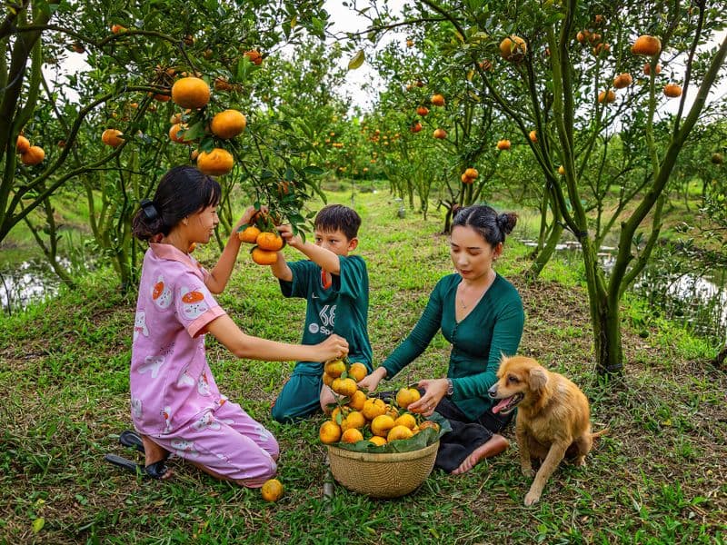 Tangerine, raw