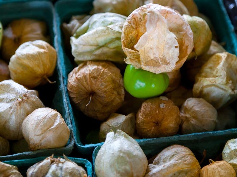 Tomatillo, raw