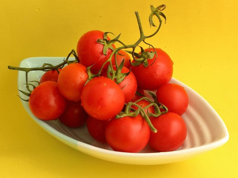 Tomato puree, canned