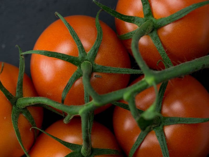 Tomato, raw