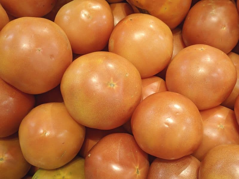 Tomatoes, cooked