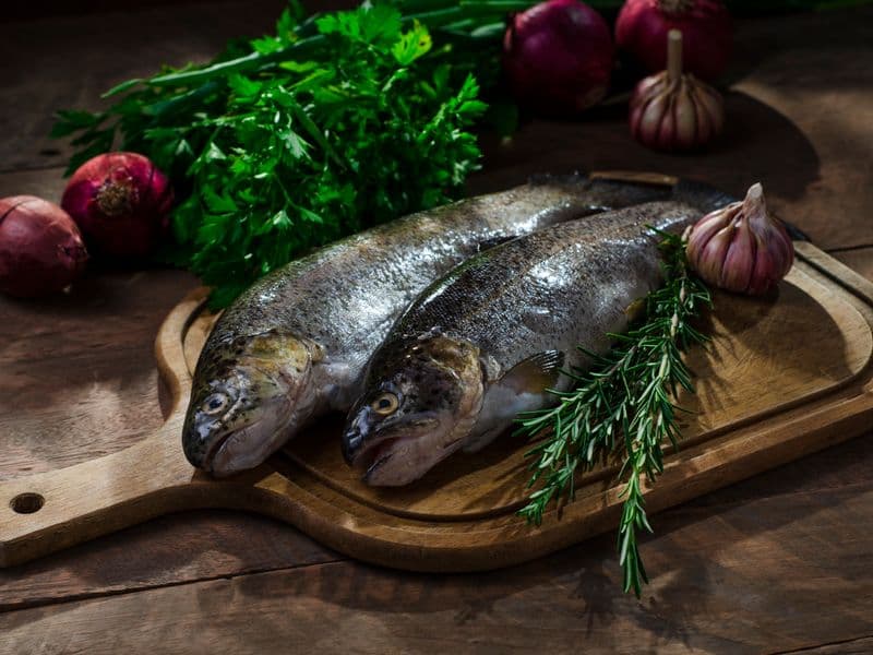Trout, cooked