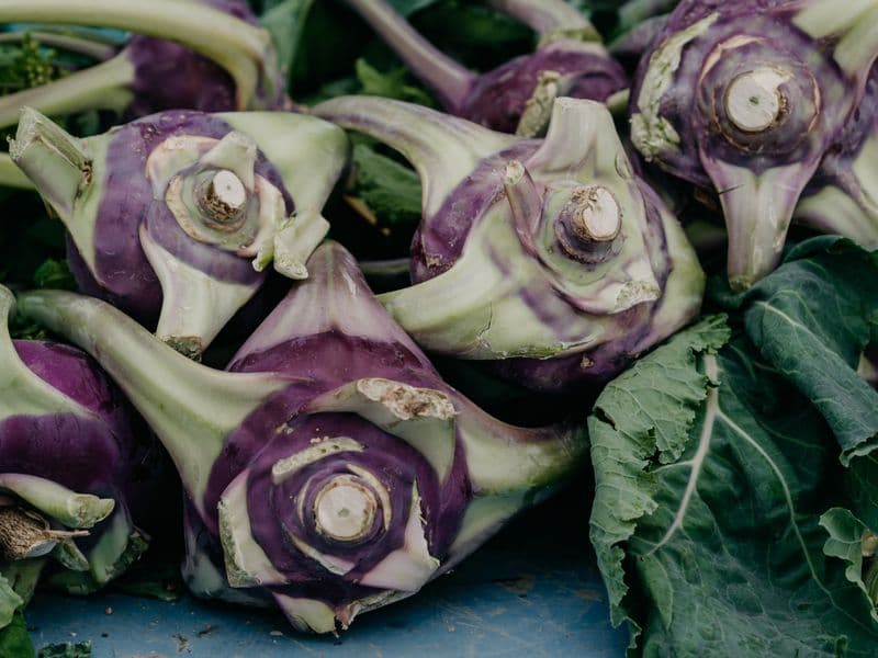 Turnip greens, frozen, cooked