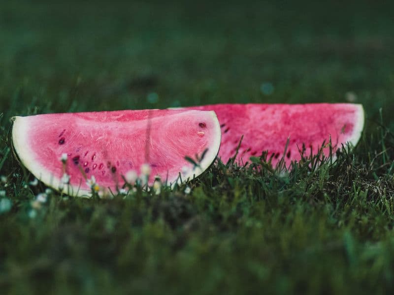 Watermelon, raw