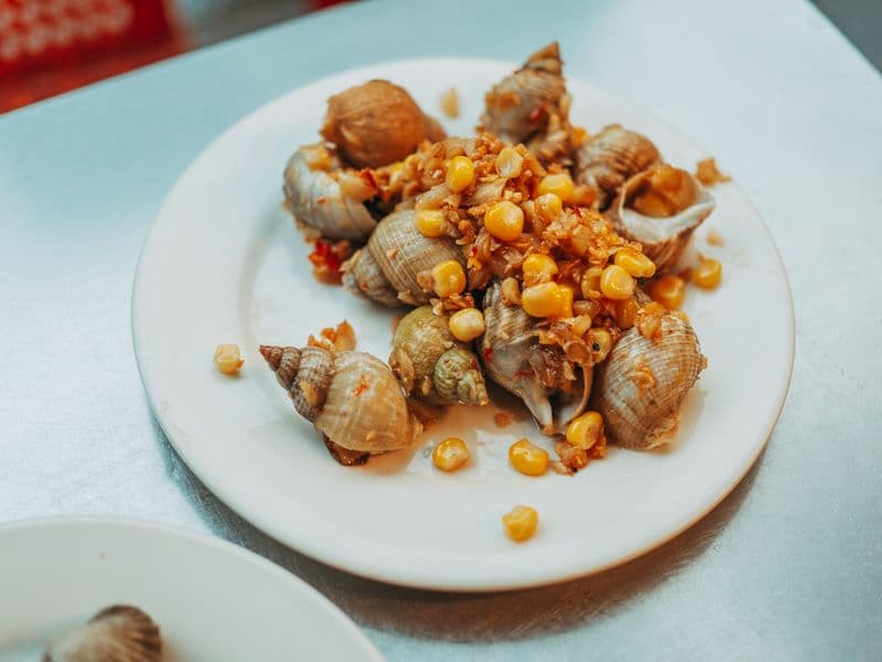 Whelk, cooked