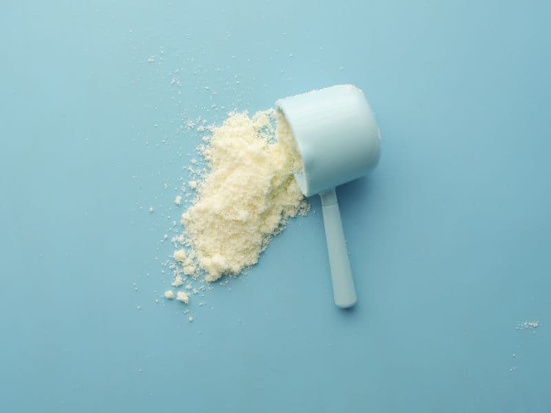 Whey protein powder
