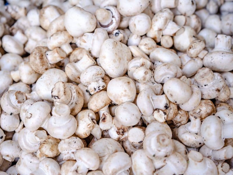 White mushrooms, raw