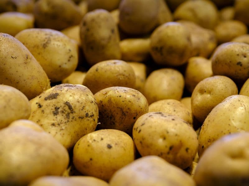 Potato, boiled