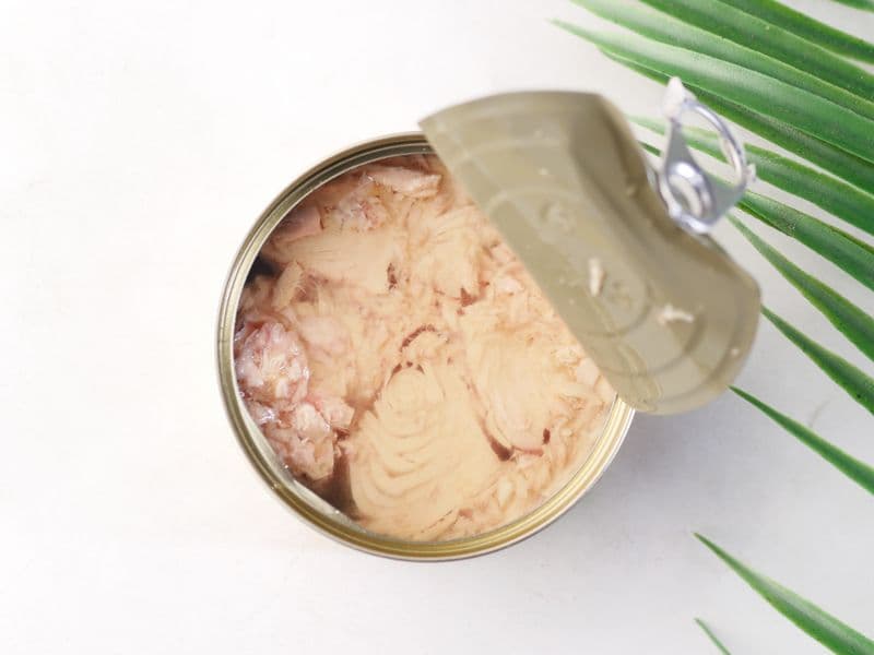 Canned white tuna in water