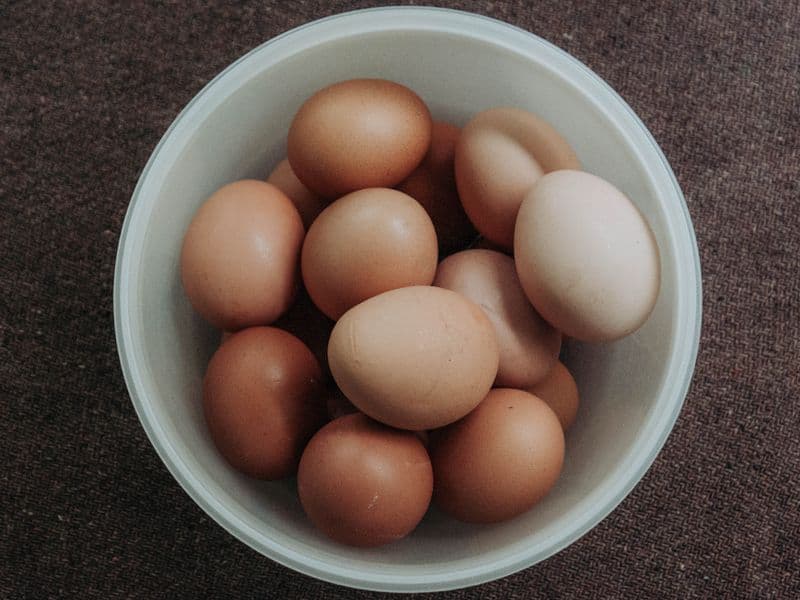 Whole egg, raw