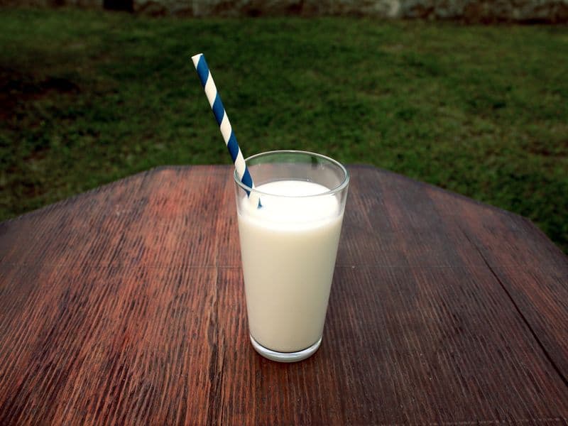 Cow's milk, whole