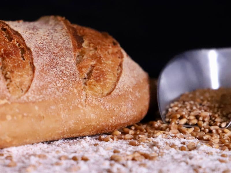 Whole-wheat flour