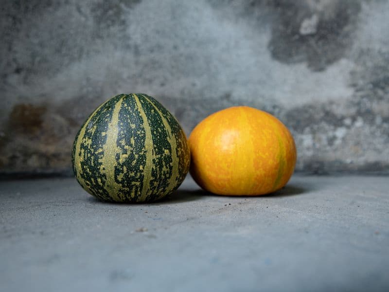 Winter squash, raw