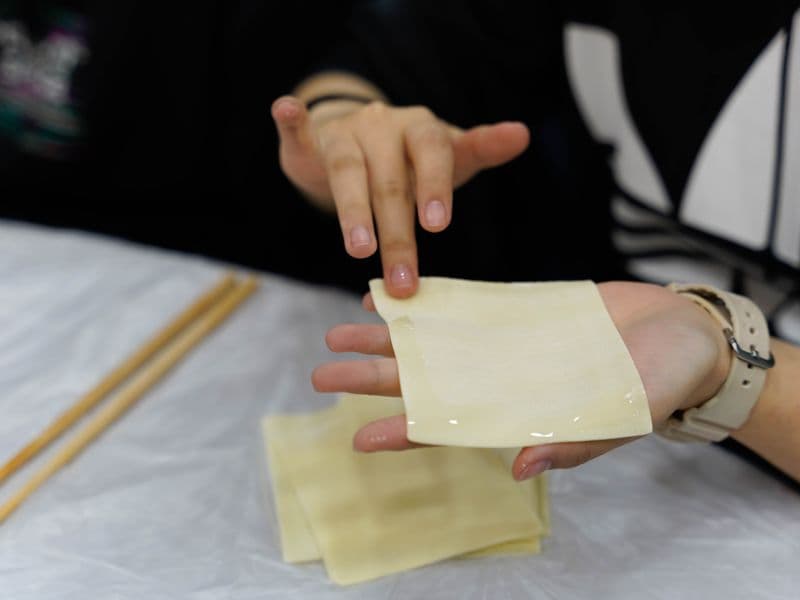 Wonton wrappers