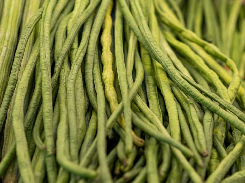 Yardlong beans, cooked