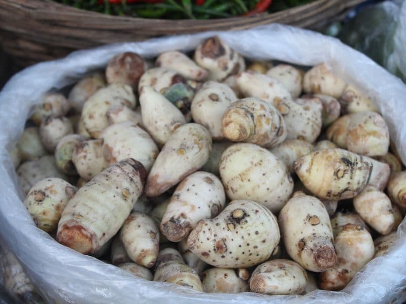 Yautia (tannier), raw