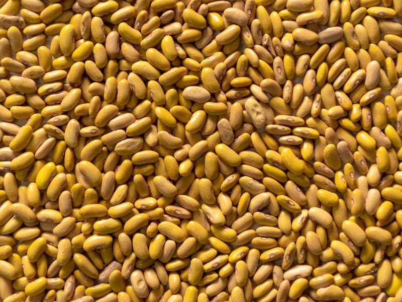 Yellow beans, cooked