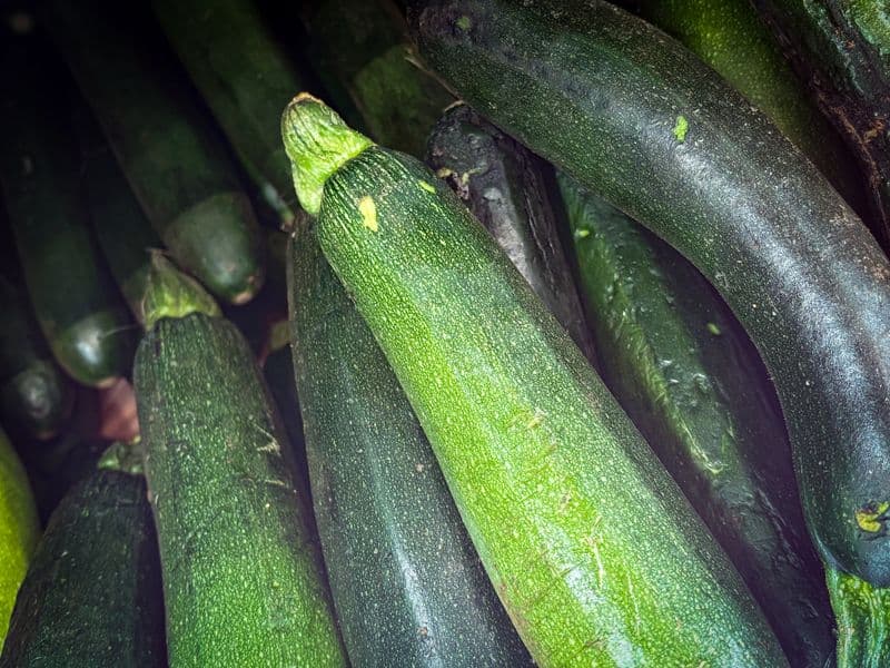 Zucchini, raw
